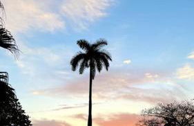 Pool! Best location! Steps to the water! Kid friendly! - Foto 52