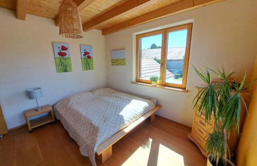 FeWo "AlpakaZeit" im ökologischen Holzhaus mit traumhafter Aussicht und Alpakas - Foto 4