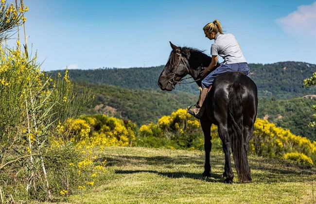 Si-h157-radi0at - Villa Airone 12 - Foto 62