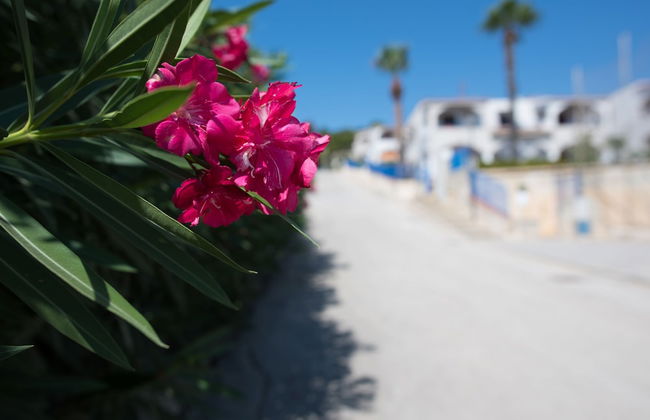 Holiday Home in Sciacca Mare Tennis Soccer Field, Barbecue, Wifi, Kitchenette - Foto 52