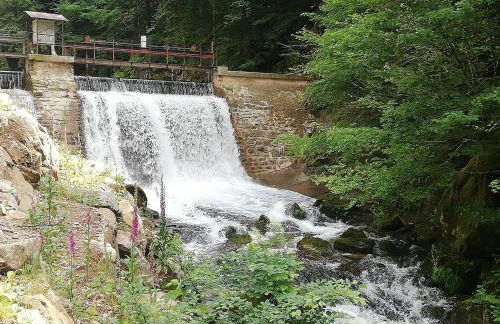 Holiday Home in Vosges with Garden and BBQ - Foto 19