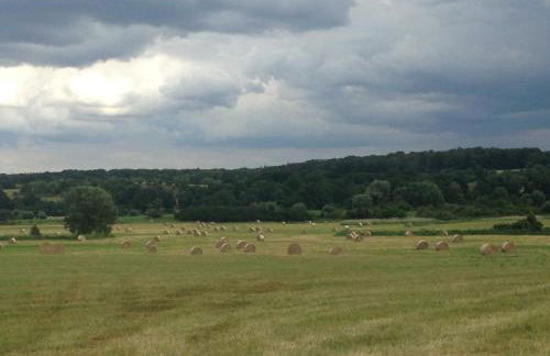 Ferienwohnung Mohnblume - Photo 34