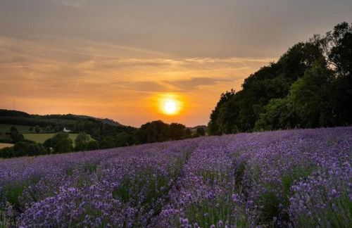 Wohnung im Teutoburger Wald Externsteine - Foto 62