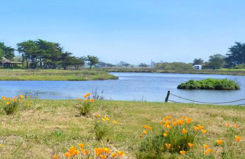 A Total Distanced Coastal Experience! - Foto 27