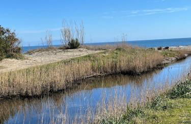MAISONS BORD DE MER- MARINE DE SORBO - Gîtes 3 épis - Foto 8