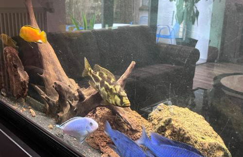 Wohnen im ehemaligen Kuhstall Stiehler Farm - Foto 11