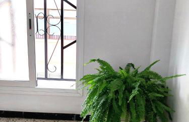 Roque's House - Foto 25