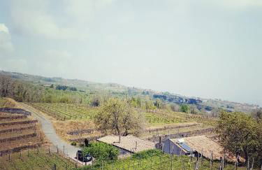 Le Case Del Merlo Turismo Rurale - Foto 31