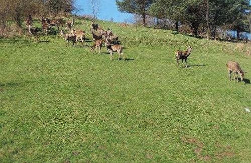 Domek nad Piwniczną - Foto 26