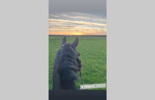 Phil's Cottage Sleeps 2 one dog by prior permission - Photo 15