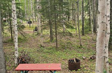 Ma-Su Thunder Cabin #1 - Photo 7