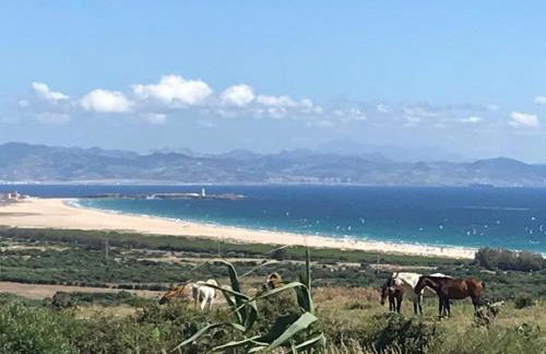 Rustic Cabin Tarifa 4 guests 5 minutes to beach - Foto 17