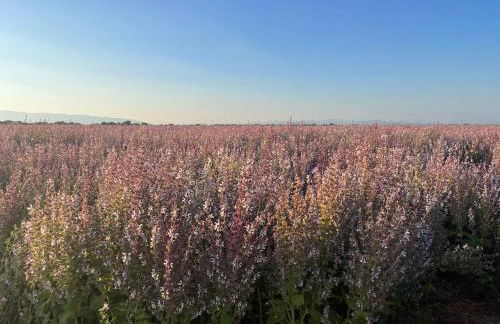 Provence Sweet Home - Foto 35