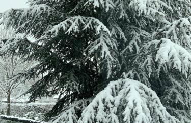 Kaeppler-Hof-Wieners - Foto 16