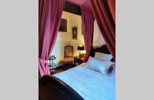 MAISON DE NOSTRADAMUS*** OCCITANIE INSOLITE - Foto 45