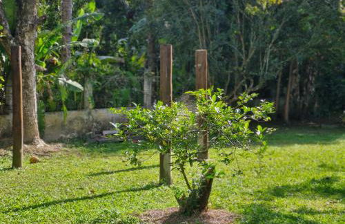 Sítio Refúgio do Lobo - Foto 9