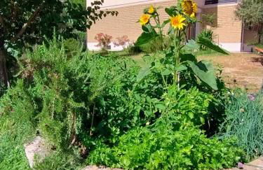 Agriturismo Il Riccio - Foto 13