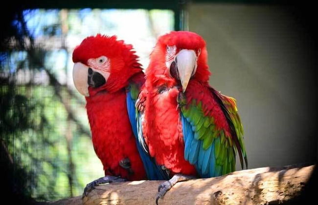 Agriturismo La Valle - Foto 46