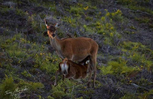 Casinha do México - Foto 29