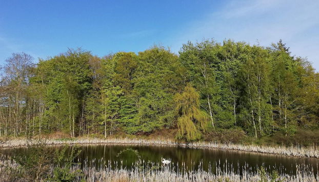 Seaside Serenity at Fuglsovig-by Traum - Foto 3, Miscelánea