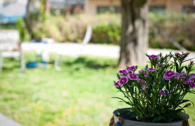 Amarylis Apartments - Foto 46