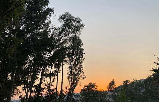 No:85 Konaklama Tesisi - Foto 32