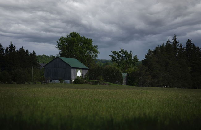 Boho Beaver - Foto 26