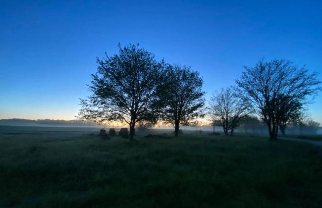 Holiday Home in Loubigne With Pool & Terrace - Photo 31