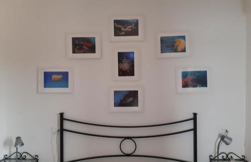 Campese Apartments - Foto 5