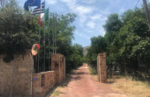 Serenity in the unique nature of Kampos, Chios - Foto 25