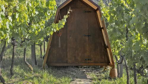 Cimo da Vinha - Nature Spot - Foto 4, Garden