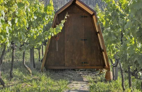 Cimo da Vinha - Nature Spot - Foto 4