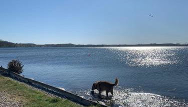 Labud 25 am Plöner See in Bosau - Foto 5