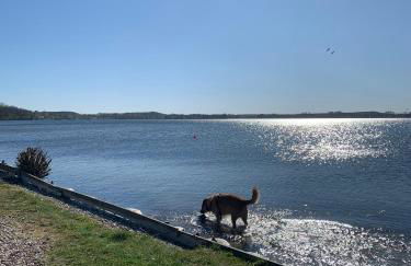 Ferienhaus SüdWest - Foto 24