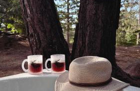 The Scandia “A-Frame Chalet” Fireplace & Hot tub - Foto 44