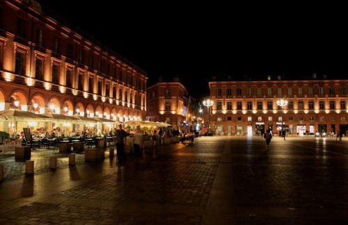 :) Grand studio lumineux à Toulouse et parking - Foto 38