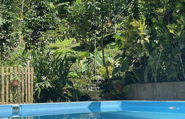 The Twin Studio Cottages - Foto 21