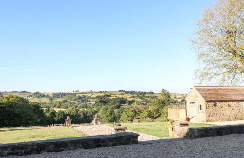 Cuckoo Nest - Foto 15