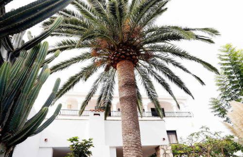 Masia Botargo 9 hab, 8 baños, piscina, porche - Foto 3