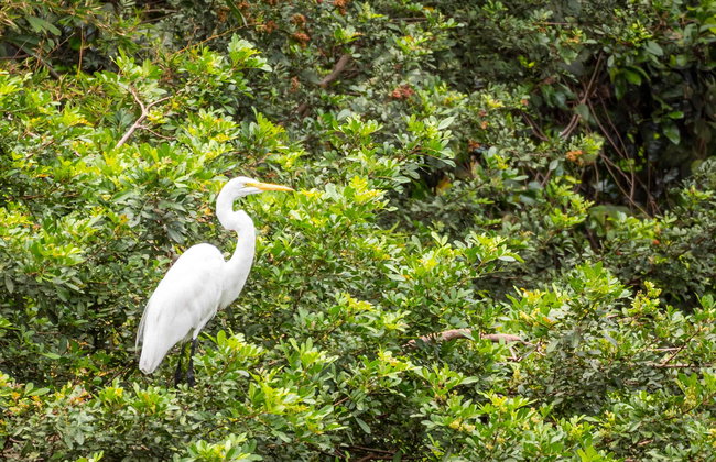 Paseo en barco por la Vía Parque Isla de Salamanca - Foto 1