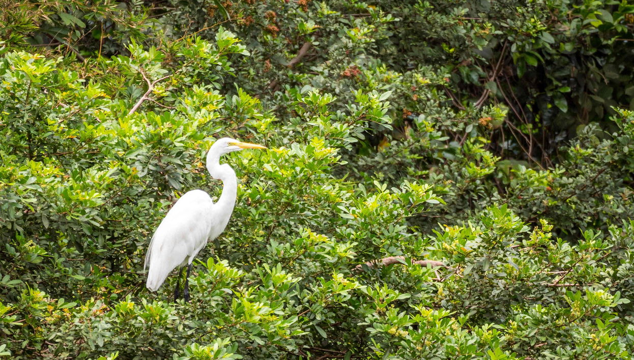 Paseo en barco por la Vía Parque Isla de Salamanca - Foto 1, Paseo en barco por la Vía Parque Isla de Salamanca