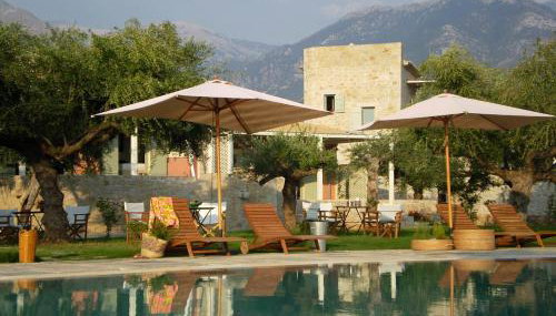 Salvia - Foto 2, Garden, Garden view