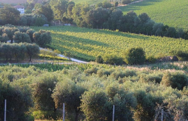 Bright Apartment in a Farmhouse With Swimming Pool - Foto 32