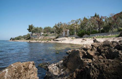 Azienda Agricola Villa Castelluccia - Foto 8