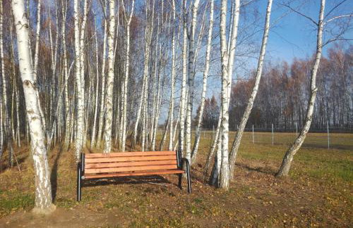 Nowa Wola 58 - 200qm appartment in a small village, with pool, sauna and big garden - Foto 49