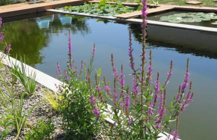 Gîte du Pradel - Foto 18