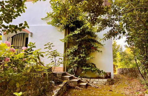 Casona Puente Viesgo - Monabri - Foto 68