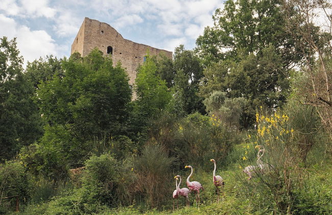 tenuta castel dell'aquila - Photo 39