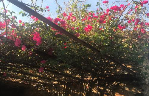 Casa La Rocita - Foto 61