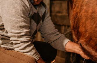 Costão do Cambará Pousada Fazenda - Foto 9